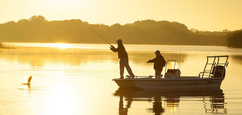 Top Reasons Why You Should Buy a Fish Finder
